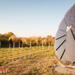 L'impianto fotovoltaico smartflower - Foto p.g.c. E. Crola